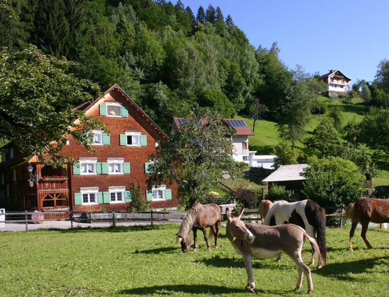 Hotel Gasthaus Schaefle Бюрзерберг Экстерьер фото