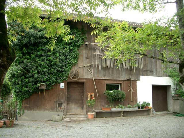 Hotel Gasthaus Schaefle Бюрзерберг Экстерьер фото
